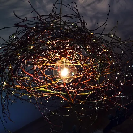 샬레 Le Forestier *