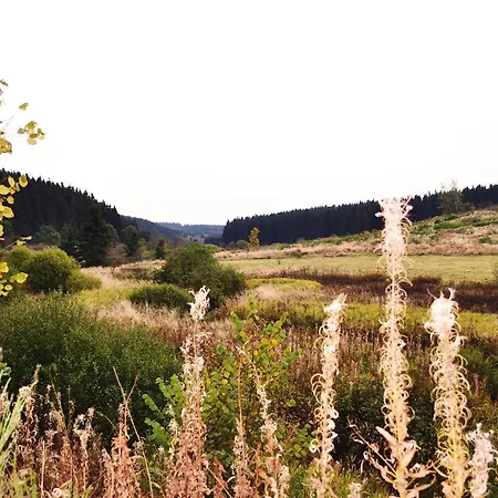 Le Forestier Chalet *