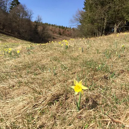 Le Forestier * ビューリンゲン