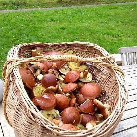 Domek alpejski Le Forestier