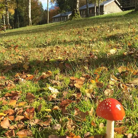 Le Forestier * 불랑쥬