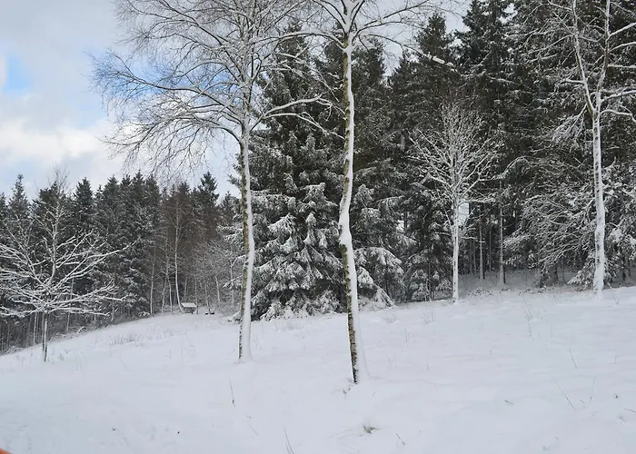 Le Forestier 木屋 比林根